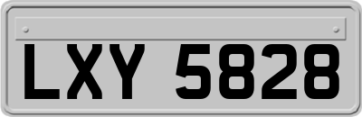 LXY5828