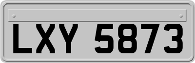 LXY5873