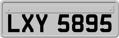 LXY5895