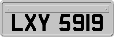 LXY5919