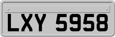 LXY5958