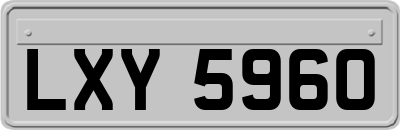 LXY5960