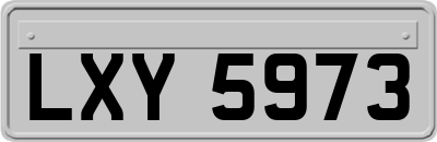 LXY5973
