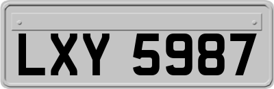 LXY5987