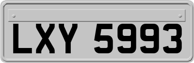 LXY5993