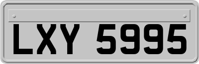 LXY5995