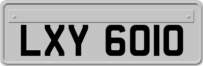LXY6010