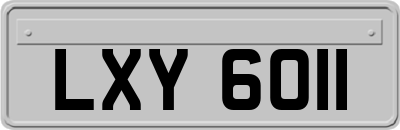 LXY6011