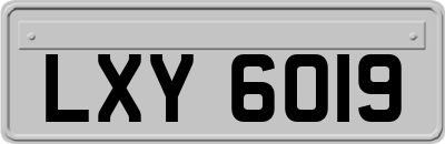 LXY6019