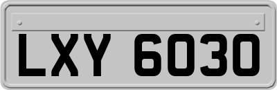 LXY6030