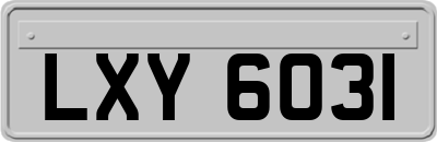 LXY6031
