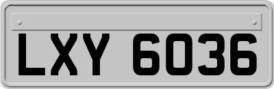 LXY6036