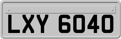 LXY6040