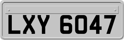 LXY6047