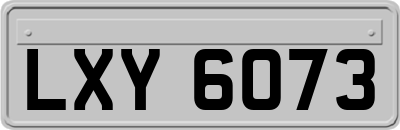 LXY6073