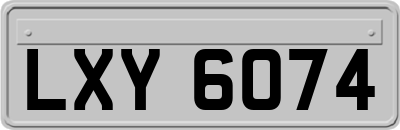 LXY6074