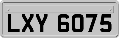 LXY6075