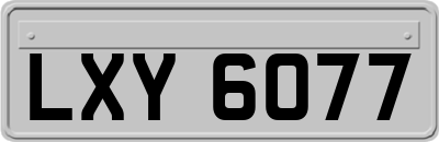 LXY6077