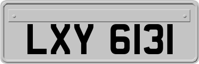 LXY6131