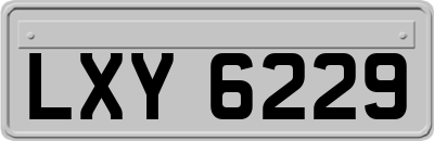 LXY6229