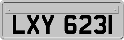 LXY6231