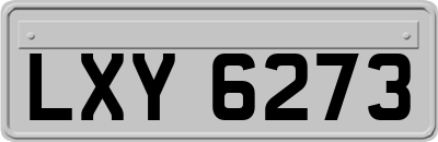 LXY6273
