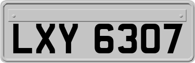 LXY6307