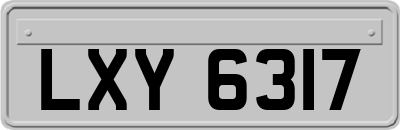 LXY6317