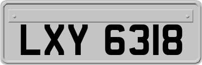 LXY6318