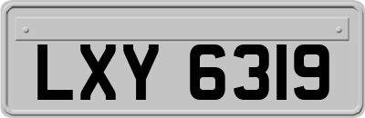 LXY6319