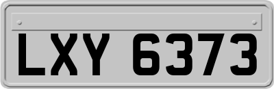 LXY6373