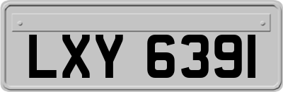 LXY6391