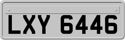 LXY6446