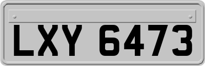LXY6473