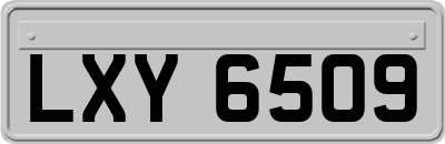 LXY6509