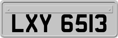 LXY6513