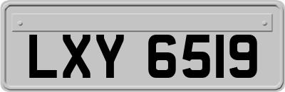 LXY6519