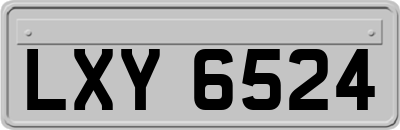 LXY6524