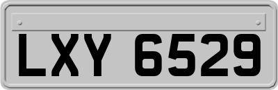 LXY6529