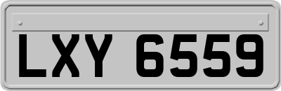 LXY6559