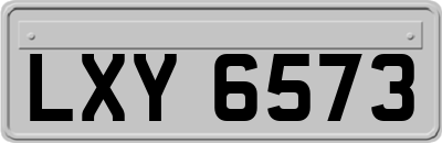 LXY6573