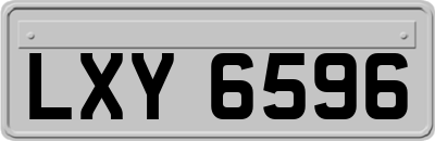 LXY6596