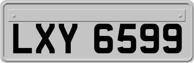 LXY6599