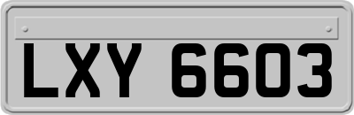LXY6603