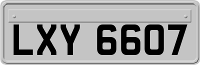 LXY6607