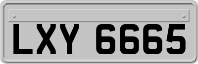 LXY6665