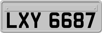 LXY6687