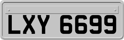LXY6699