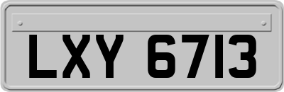 LXY6713