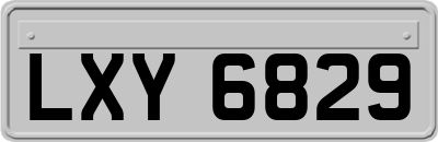 LXY6829